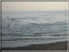 foto Alba sulla spiaggia di Riccione